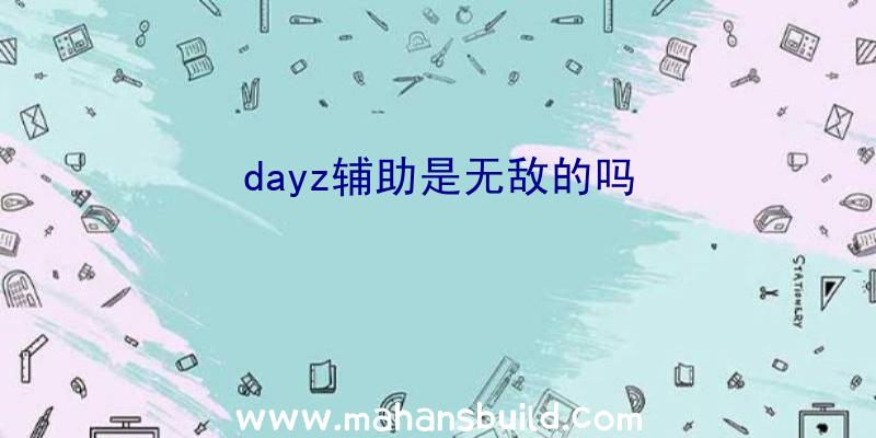 dayz辅助是无敌的吗