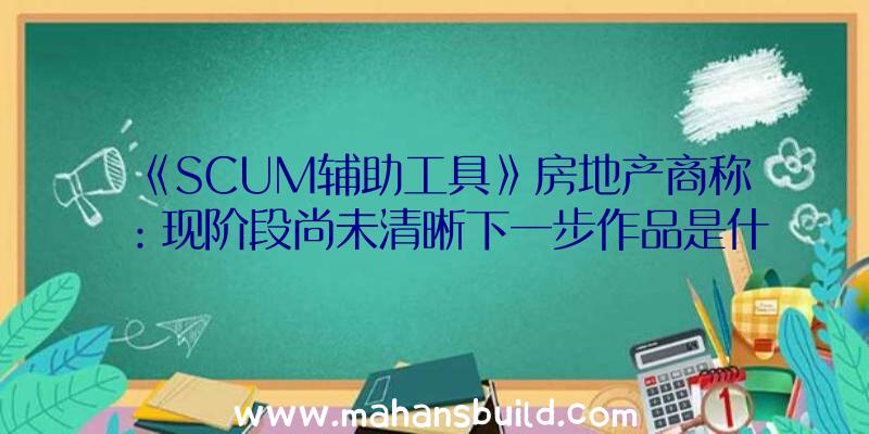 《SCUM辅助工具》房地产商称：现阶段尚未清晰下一步作品是什么