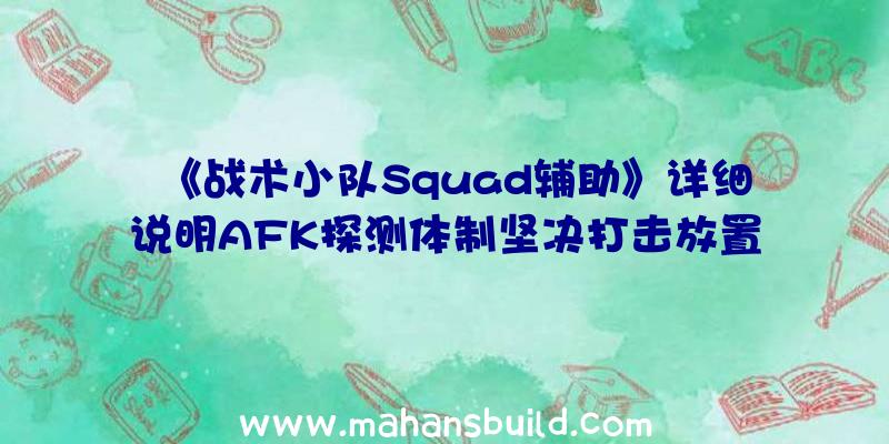 《战术小队Squad辅助》详细说明AFK探测体制坚决打击放置挂机游戏玩家