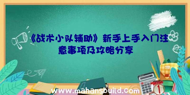 《战术小队辅助》新手上手入门注意事项及攻略分享